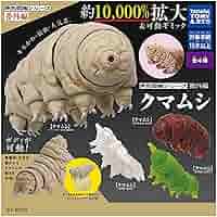 Amazon | タカラトミーアーツ(TAKARATOMY A.R.T.S) 原色図鑑